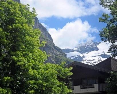 Pfaffenstoeckli Grindelwald Quarto foto